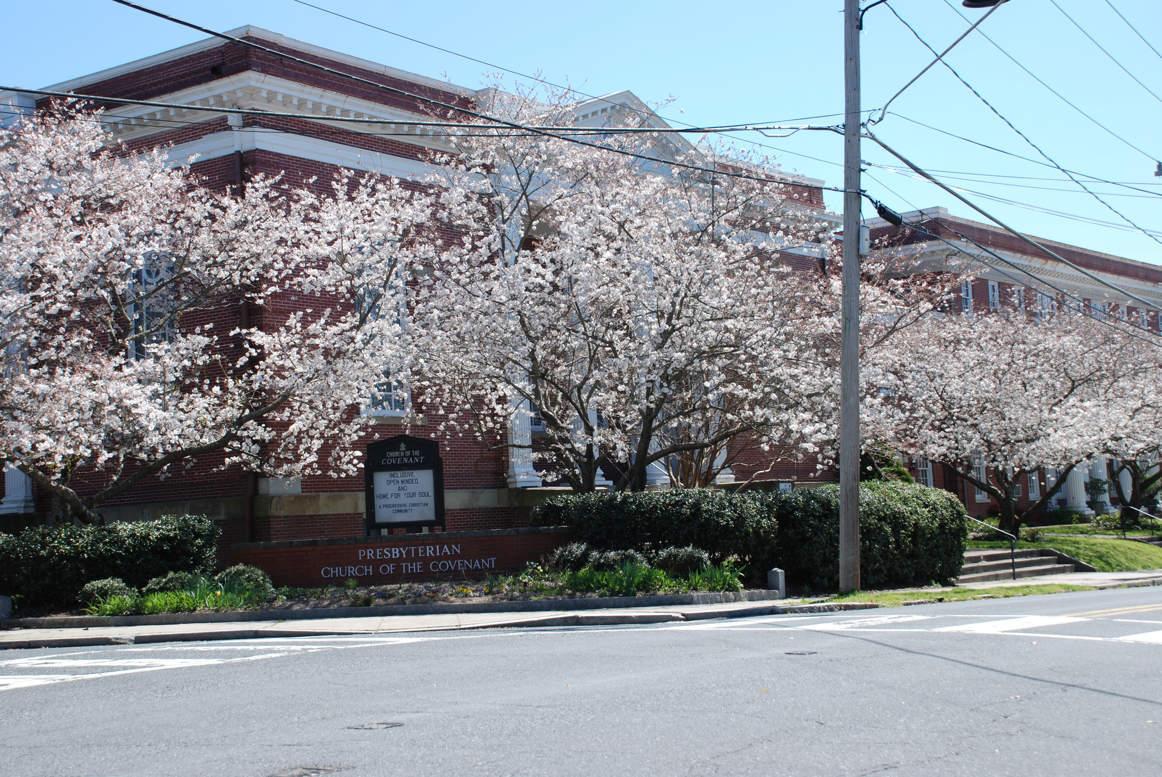 Presbyterian Church of the Covenant in the spring with cherry trees in blossom