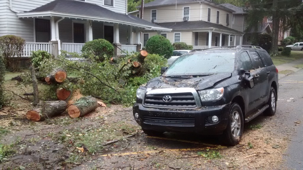 SUV damaged by falled tree on Mendenhall Street