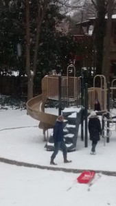 A family visits snowy Springdale Park