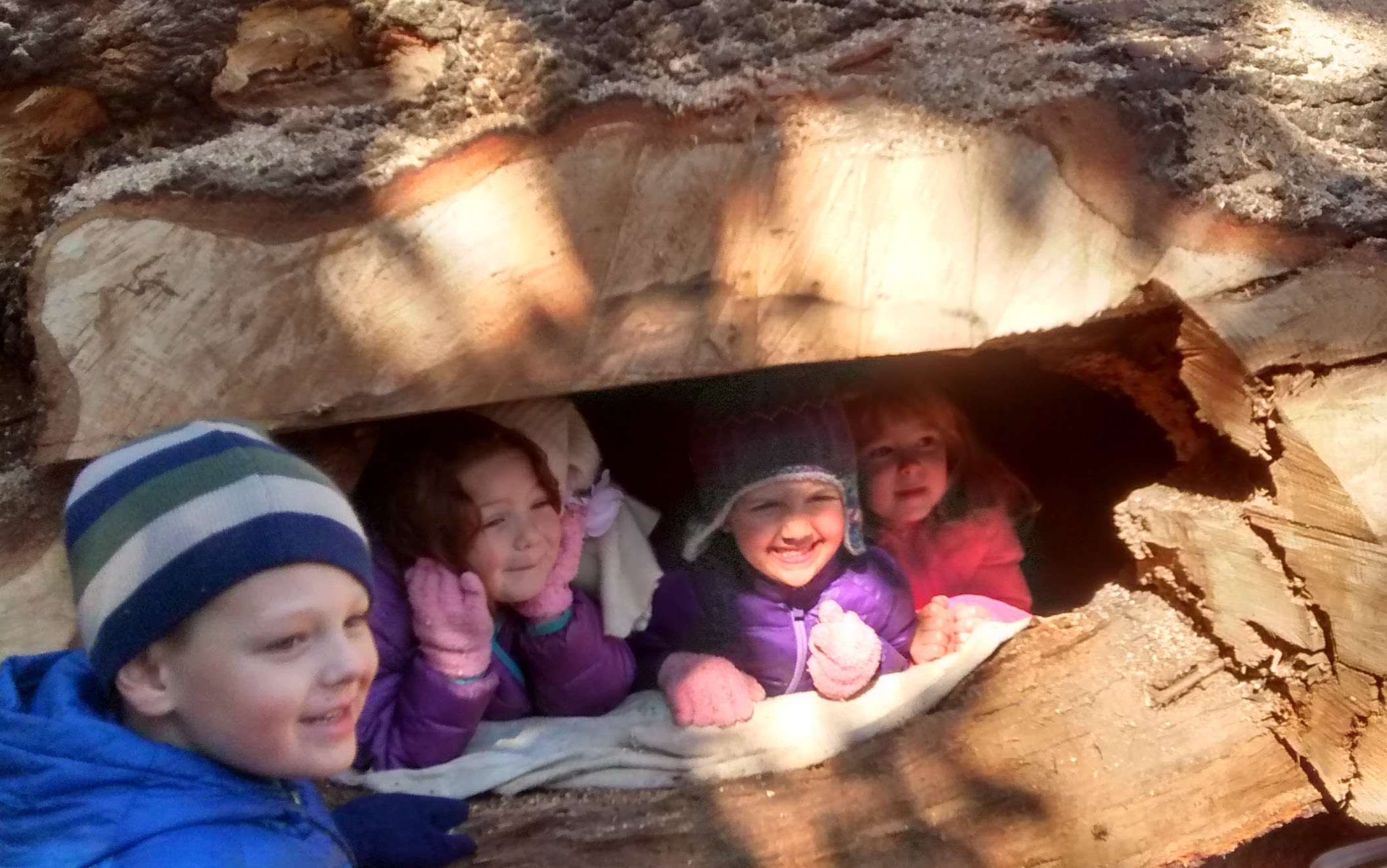 kids inside the tree trunk