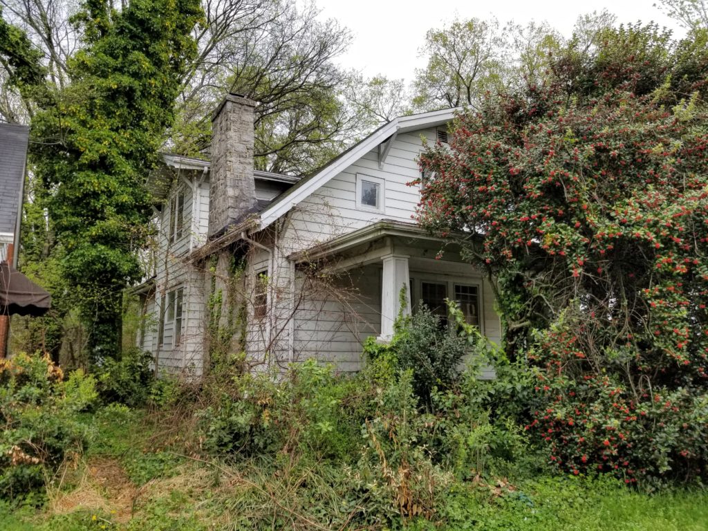 old house with overgrown vegetation