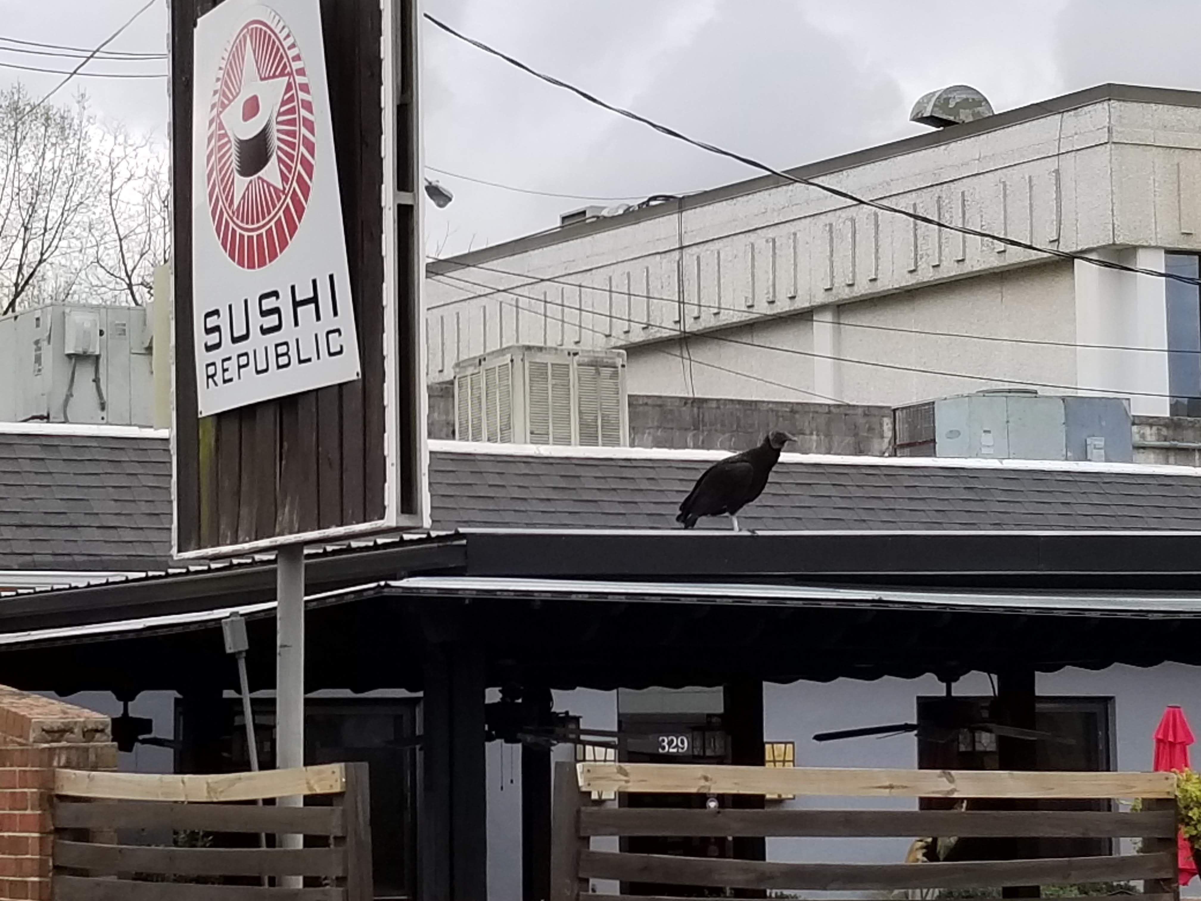 a vulture sits atop Sushi Republic