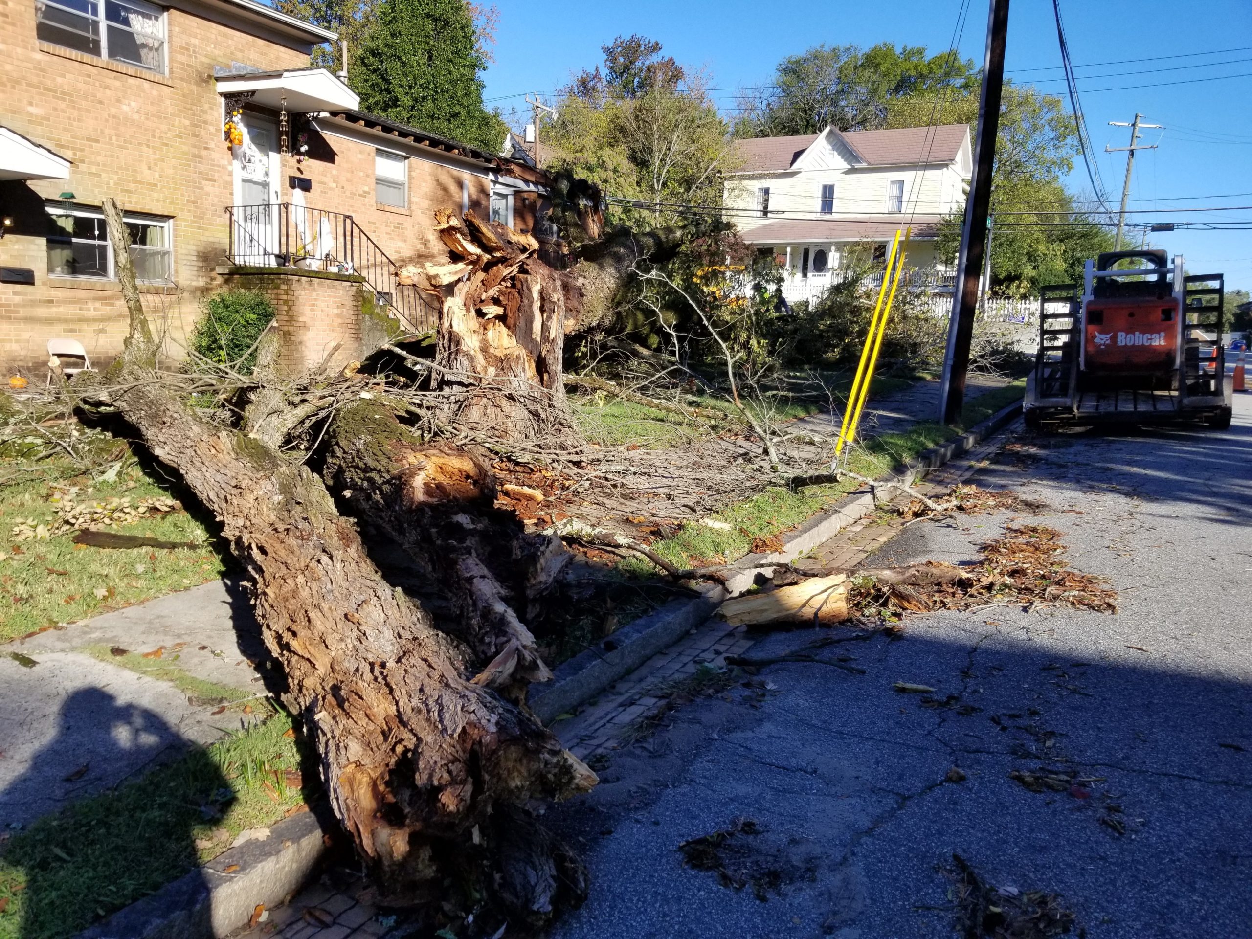 tree down in front of brick apartments